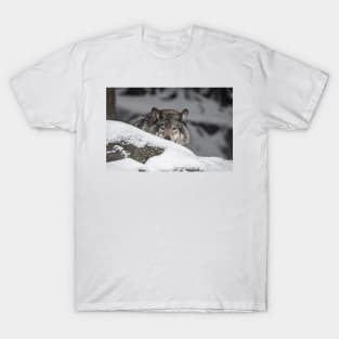 Eastern Gray Wolf T-Shirt